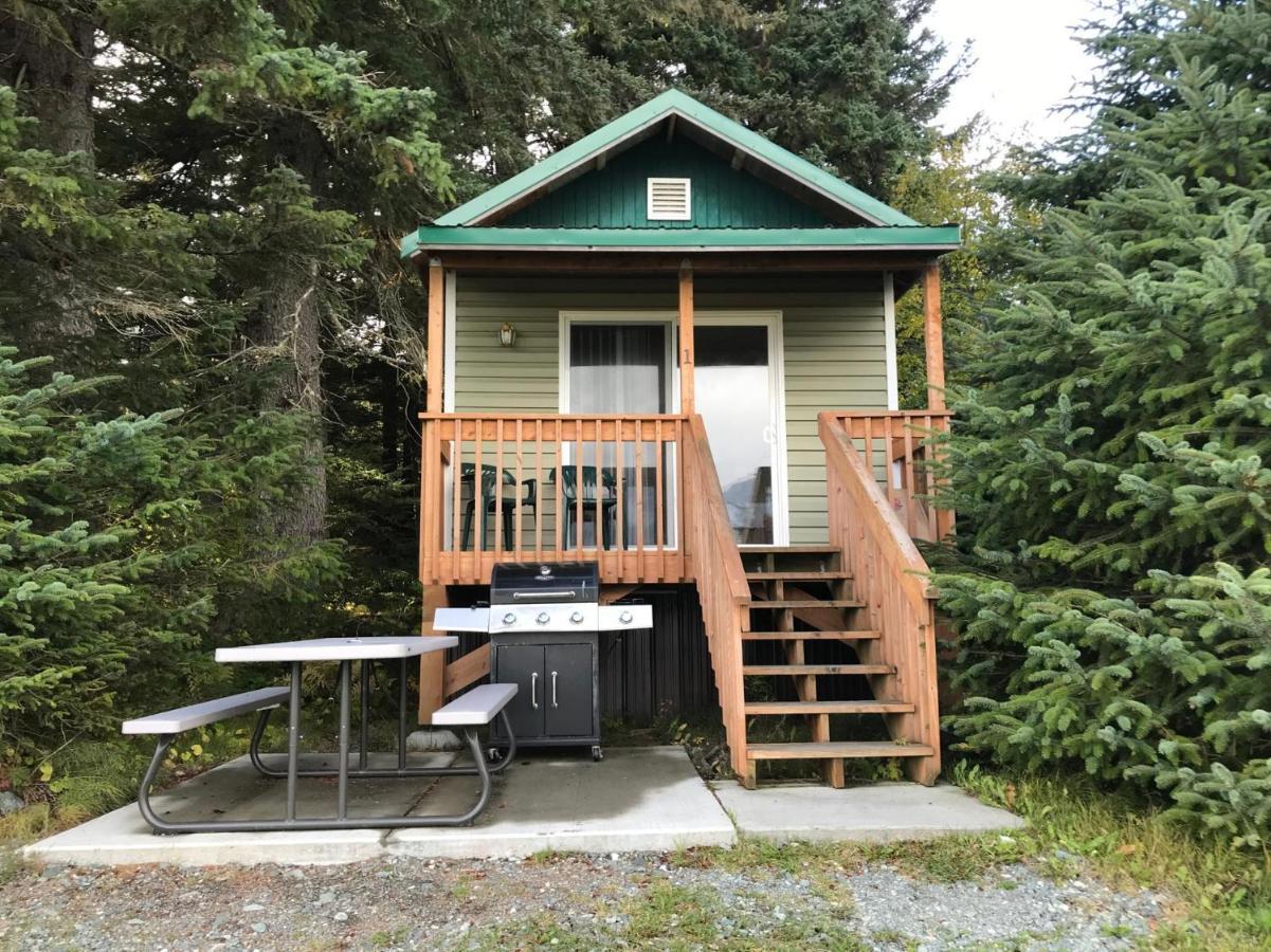Cabin 3 Lynn View Lodge ヘインズ エクステリア 写真