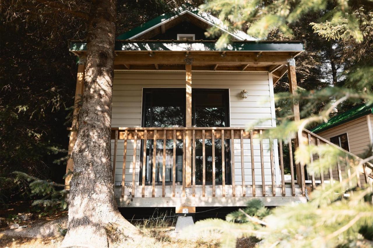 Cabin 3 Lynn View Lodge ヘインズ エクステリア 写真